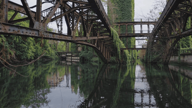 고요한 강 위에 덩굴이 자란 다리