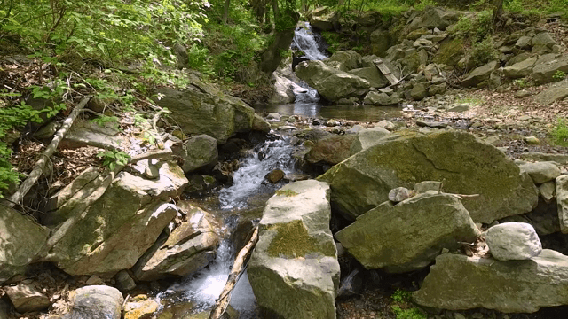 바위가 있는 고요한 숲 속 개울