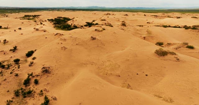 Vast desert landscape with birds