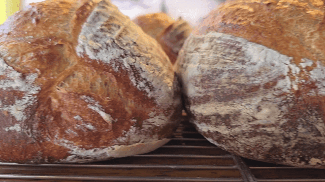 갓 구운 갈색의 깜빠뉴 빵