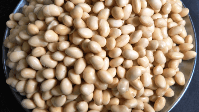 Bowl containing fresh beans