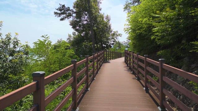 햇살 가득한 녹색 공원 산책로