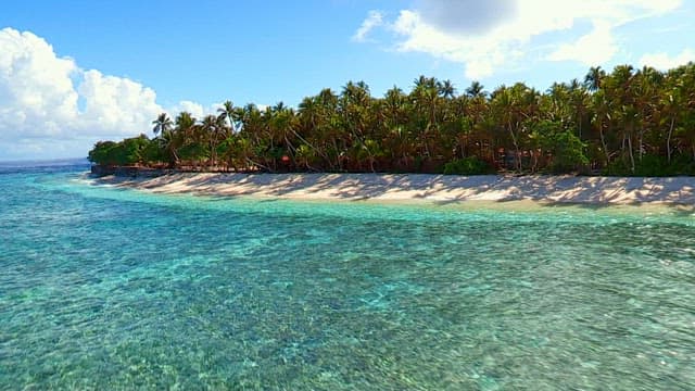 열대 섬 해변의 전경