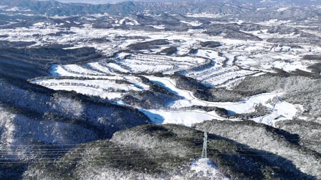 Winter Landscape with Snow-Covered Trees