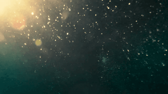 햇빛이 비치는 수중 장면