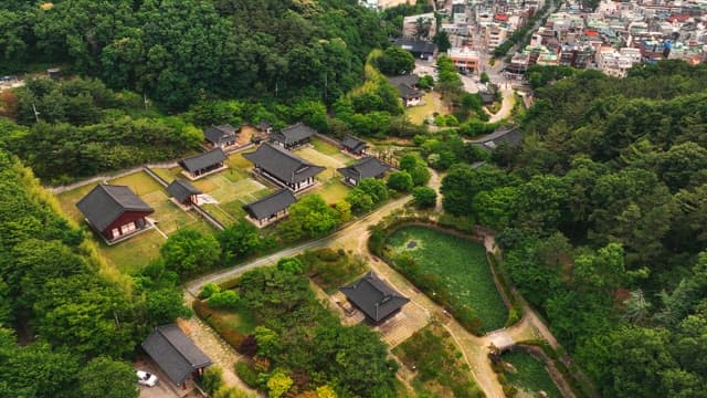 푸른 나무로 둘러싸인 한국 전통 가옥