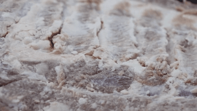Raw meat covered with sweet potato starch