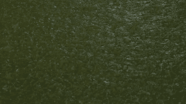 도로 바닥에 떨어지는 거친 빗방울