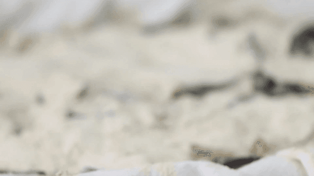 천으로 덮어 놓은 메밀가루로 덮은 야채