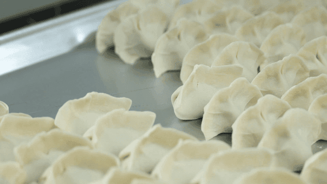 Rows of freshly made dumplings
