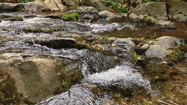 바위 위로 흐르는 작은 시냇물