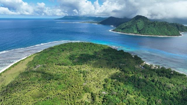 Tropical island with lush greenery and clear blue waters on a sunny day