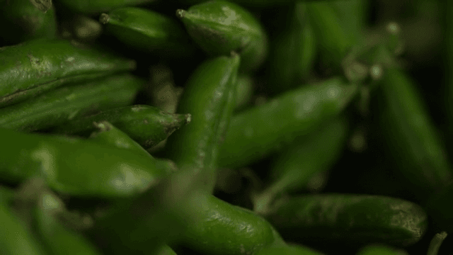 신선한 녹색 고추 더미