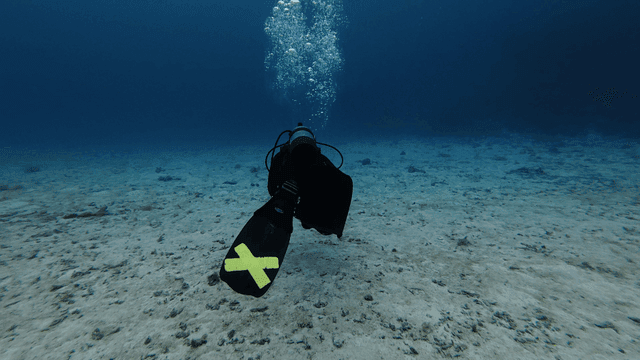 Scuba divers exploring seabed