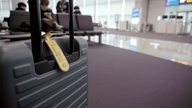 공항 터미널 탑승구 앞 캐리어 여행가방