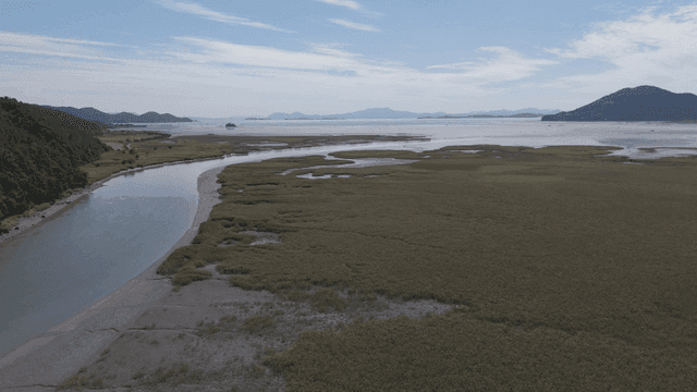 Calm sea flowing through vast landscape