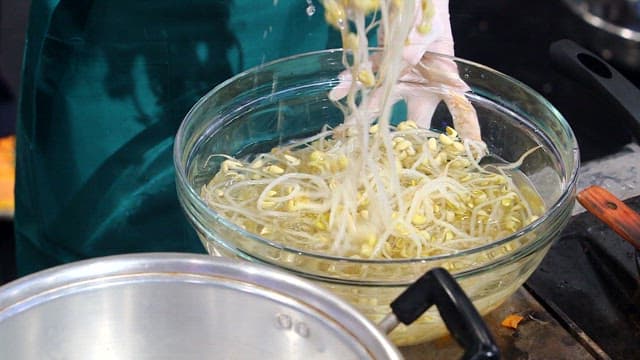 Scene of putting prepared bean sprouts in a pot