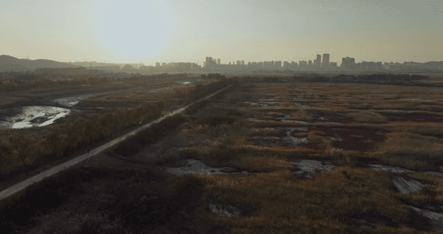 멀리 도시 스카이라인이 보이는 넓은 들판