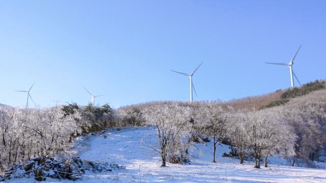 Winter Tree Forest with a Windmill on a Hill