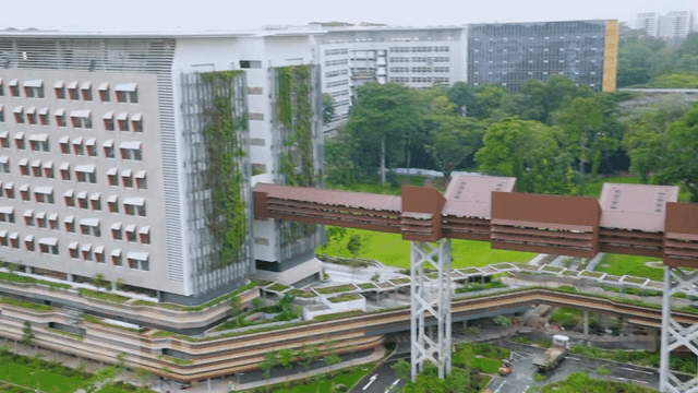 Modern buildings with green facades