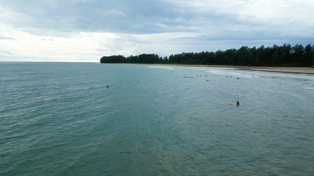 People surfing on a calm beach