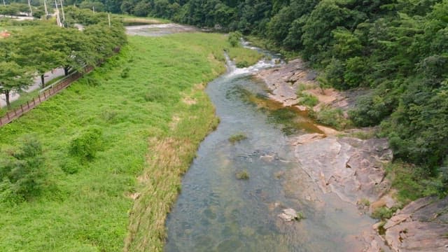 Serene river flowing through lush greenery