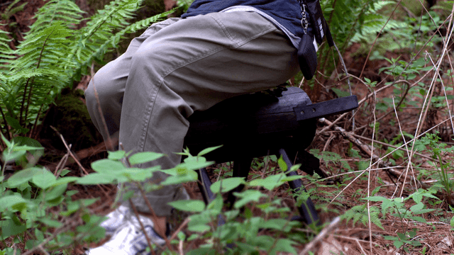 숲속에서 통나무에 앉아 있는 사람
