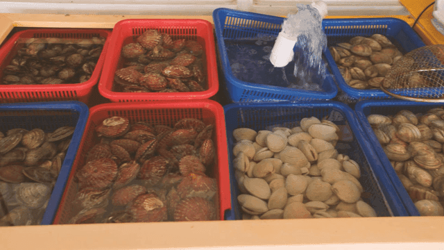 Various shellfish in water tanks