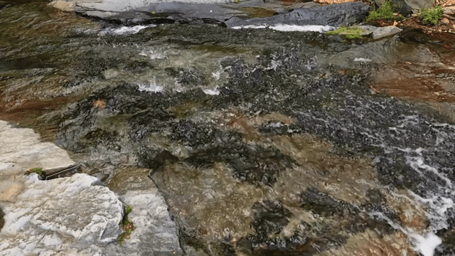 Flowing water over rocks in a stream