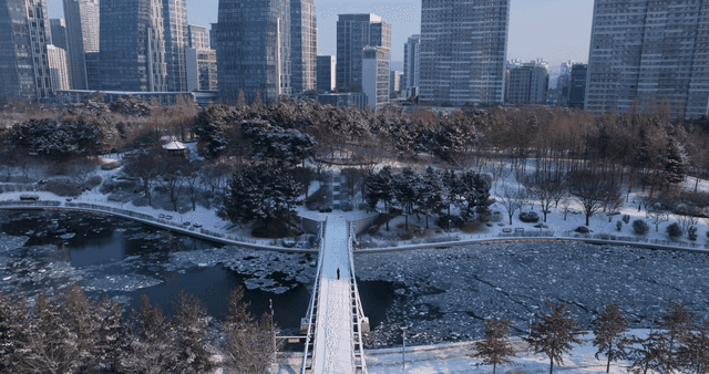 Snow-covered park with skyscrapers