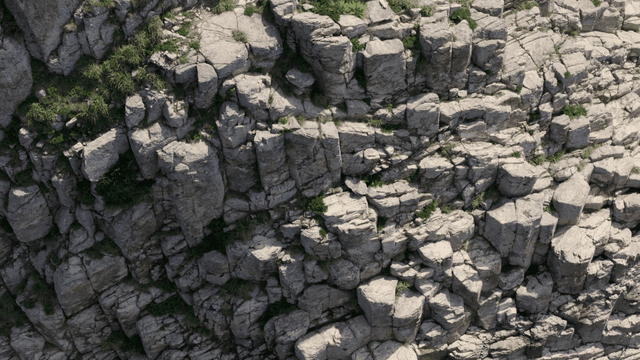 푸른 식물이 있는 바위 절벽