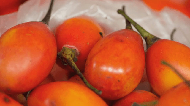 비닐봉지에 담긴 신선한 나무토마토