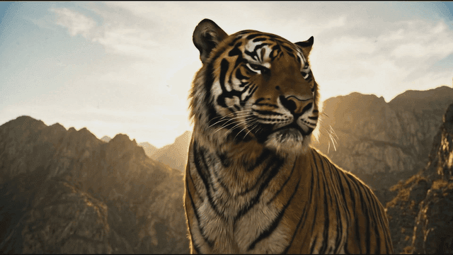 Majestic tiger roaring on a mountain