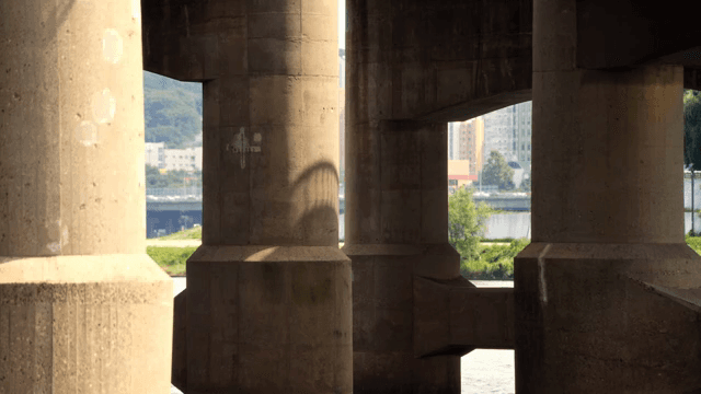 Underneath a bridge with concrete pillars