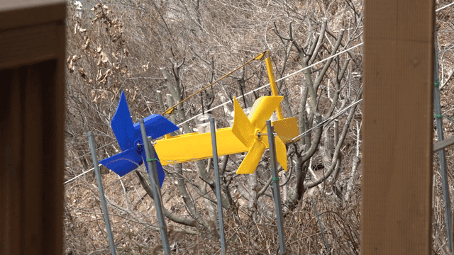 Colorful pinwheels spinning in forest wind and drinks climbing up rope