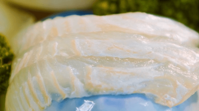 Close-up of fresh sliced raw flatfish