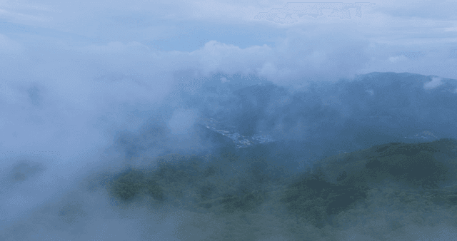 Misty mountains with lush green forests