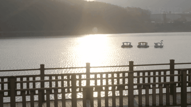 Tranquil lake with swan boats