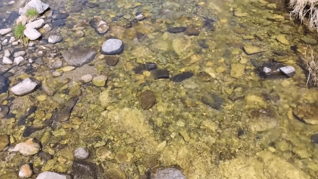 맑은 물과 바위가 있는 개울