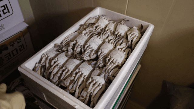 Crabs stored in a styrofoam box