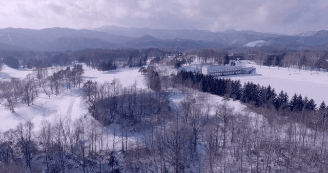 눈 덮인 숲과 먼 산