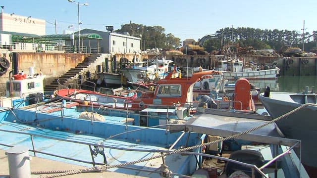Docked fishing boats at a coastal harbor