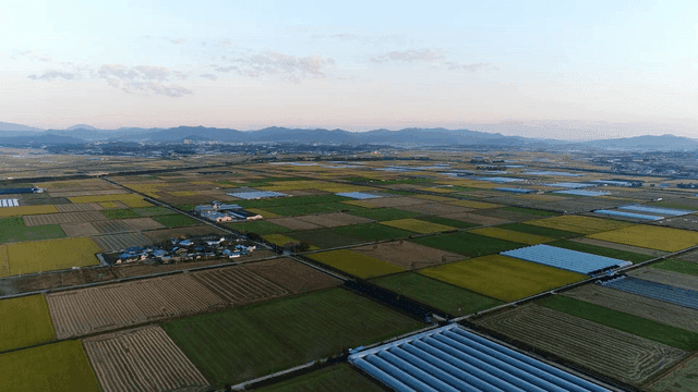 Vast farmlands and wide plains