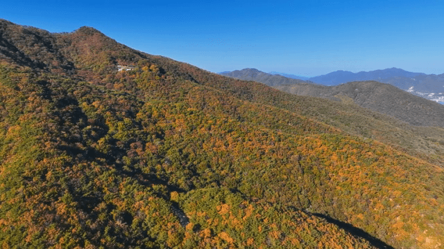 숲이 우거진 산맥의 항공 뷰