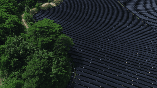 검은 그물과 나무가 있는 대규모 농장