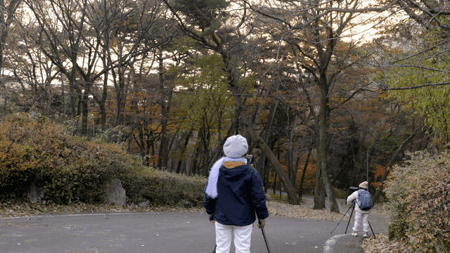 People taking pictures with digital cameras on forest path