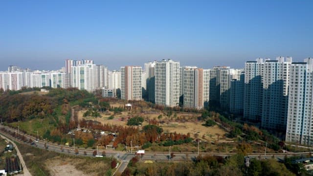 Urban Park and Apartment Blocks