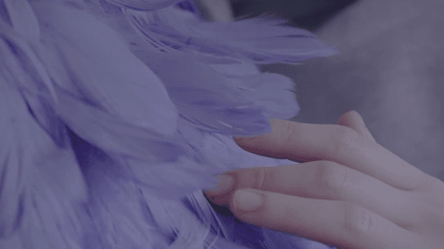 보라색 깃털을 부드럽게 만지는 손