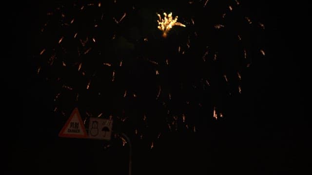 밤하늘을 밝히는 불꽃놀이