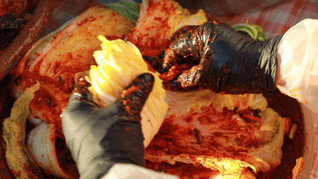 Hands preparing kimchi with cabbage
